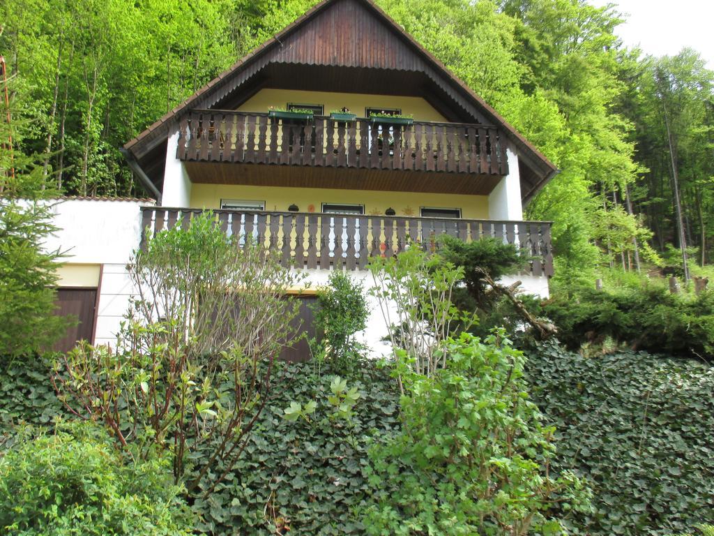 Apartments In Behringersmuehle ゲスヴァインシュタイン エクステリア 写真