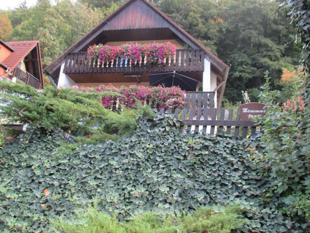 Apartments In Behringersmuehle ゲスヴァインシュタイン エクステリア 写真